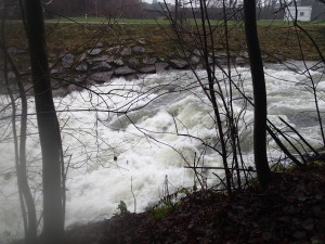 Das erste Wehr beim Fussballplatz Niederglatt.