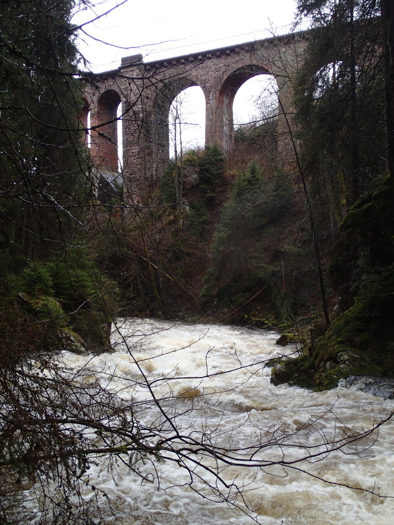 Nach der Gutach gab es eine Schwimmeinlage.