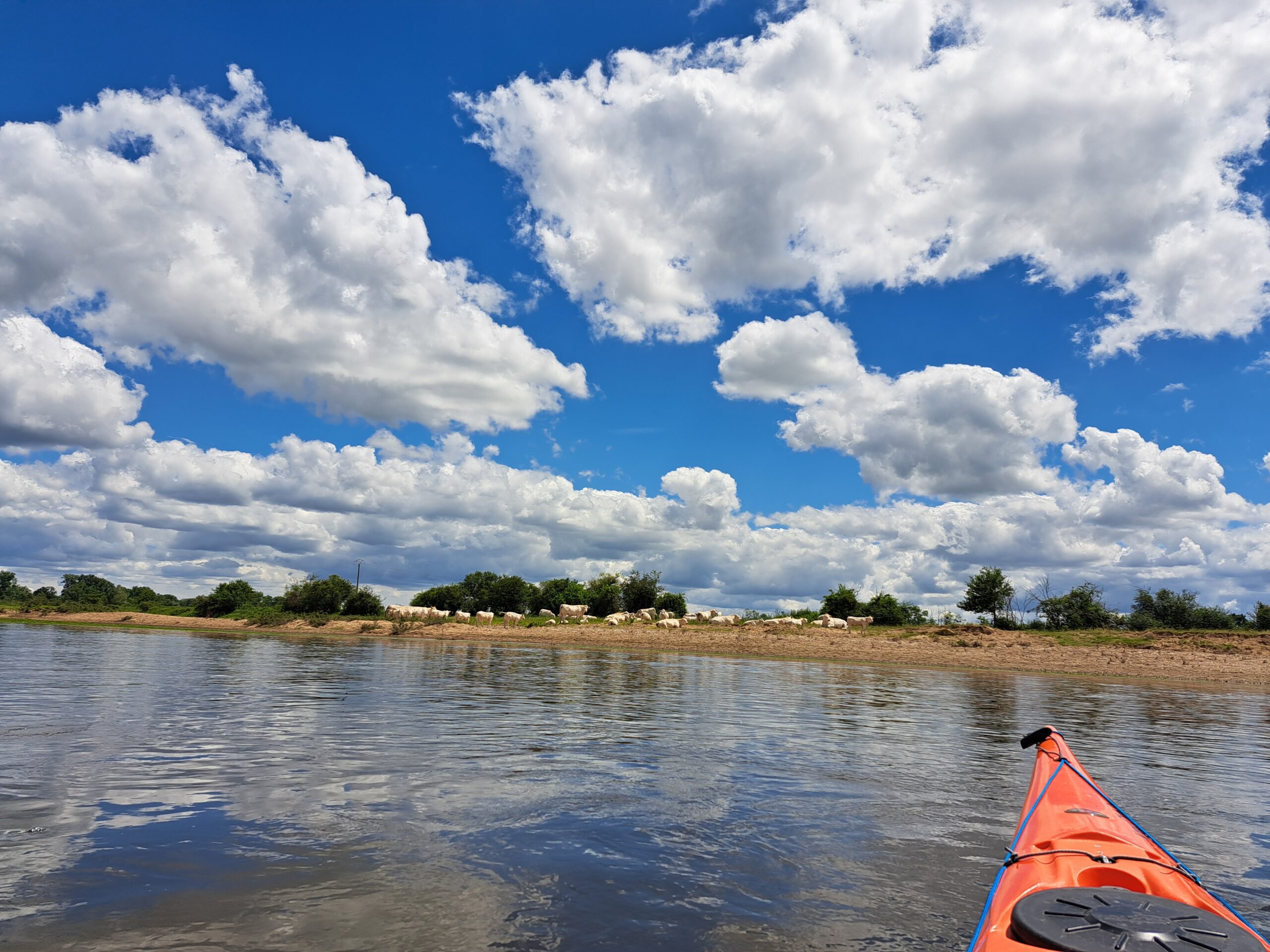 Charolais-Rinder gab es täglich zu bewundern. Wolken und Wind - oft Gegenwind - begleiteten uns die ganze Woche. Tagsüber war es mit 18 Grad nicht allzu warm, nachts mit 7 Grad Celsius recht frisch.