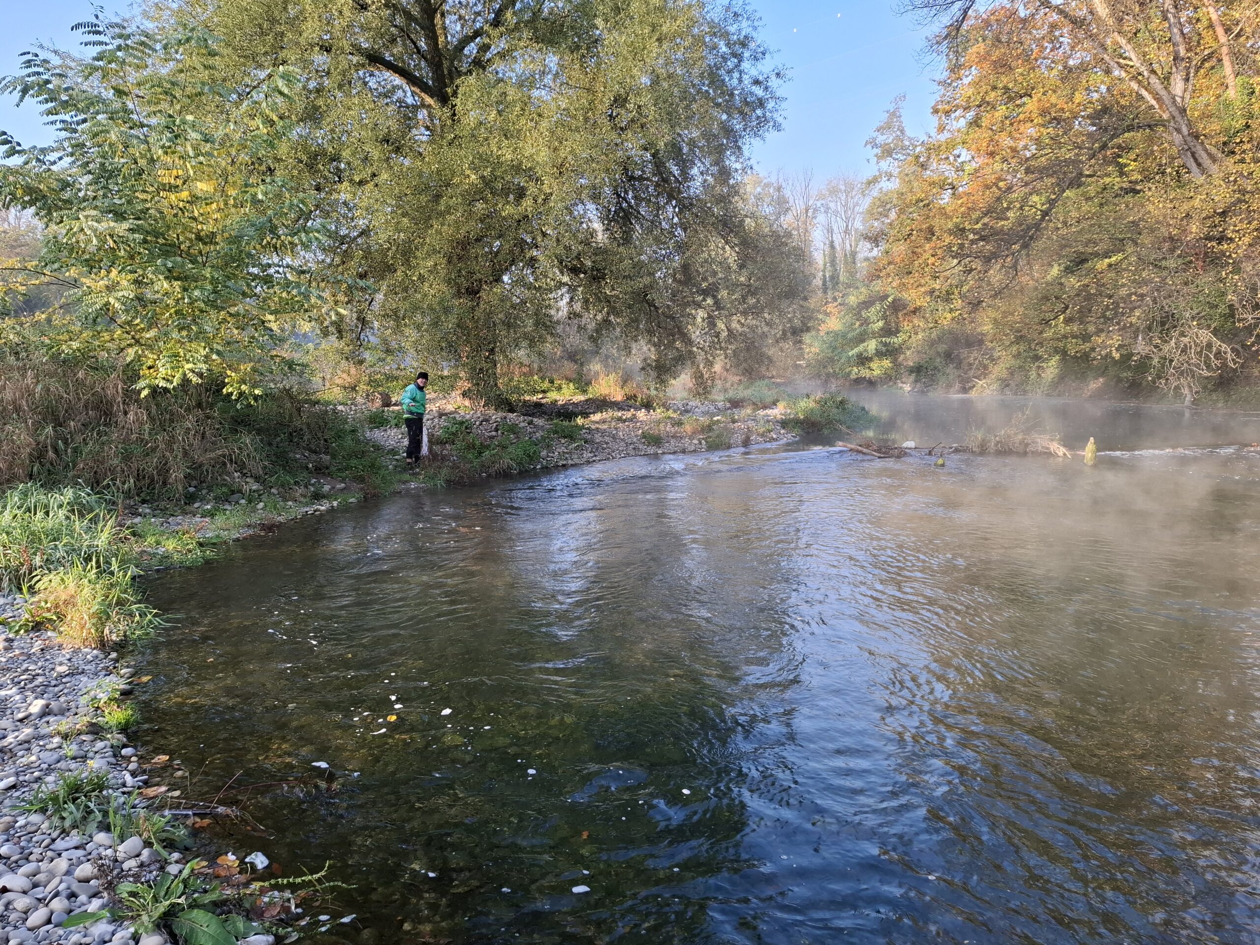 Die Abfallsammler und die Sammlerin freuten sich an der intakten Natur im Gebiet der alten Aare.
