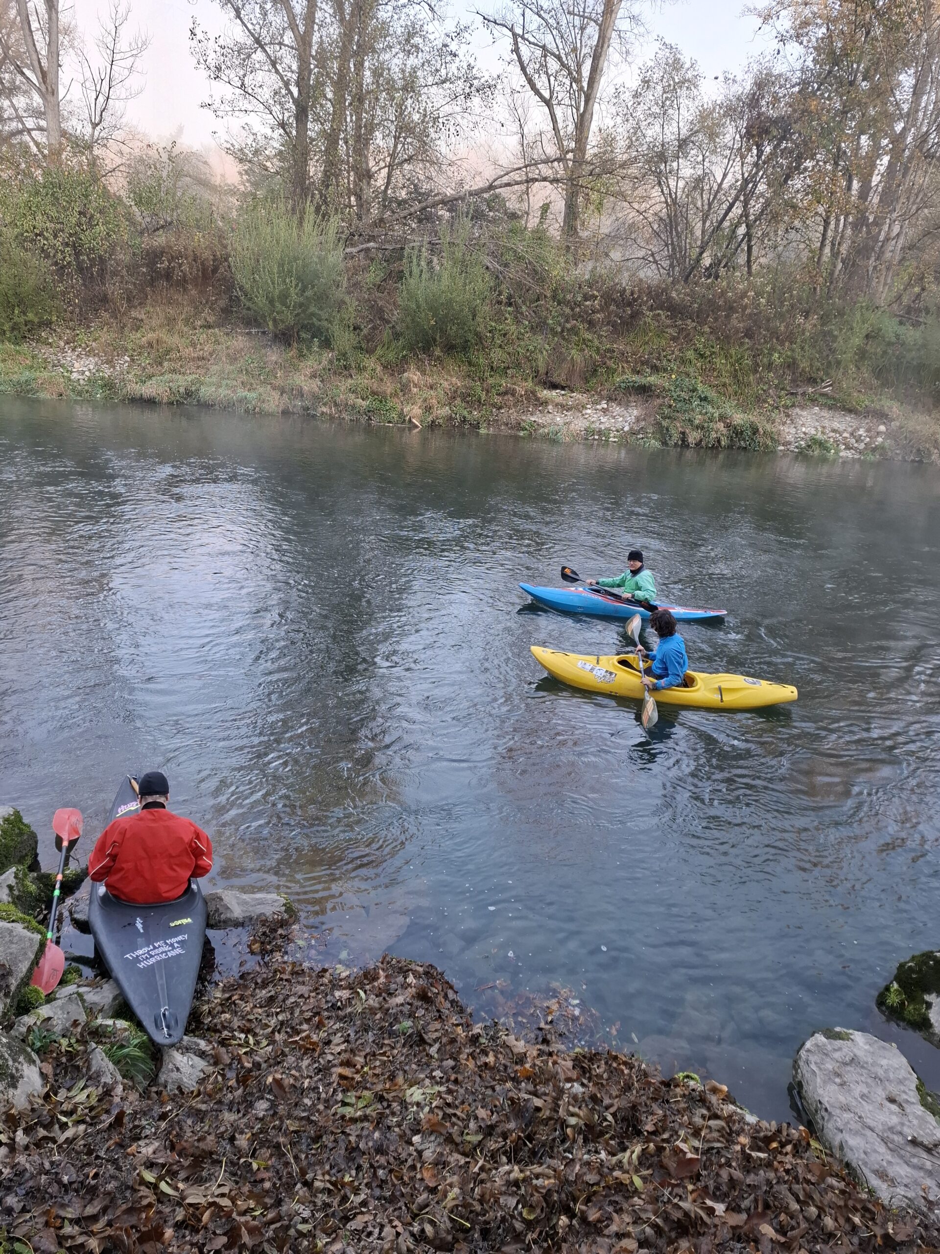Die Aare-Insel ist nur mit Booten erreichbar. Für den Transport des Abfalls dienten die Kajaks. 
