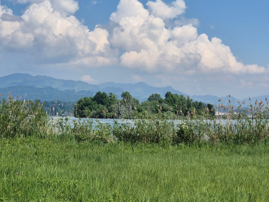 Blick von der Insel Ufenau zur Nachbarinsel Lützelau. 